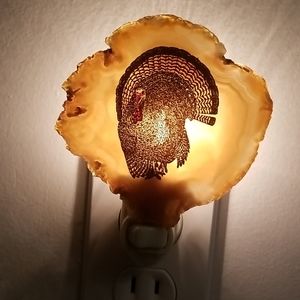 Wild Turkey agate wall night light